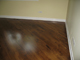 hardwood floor picture